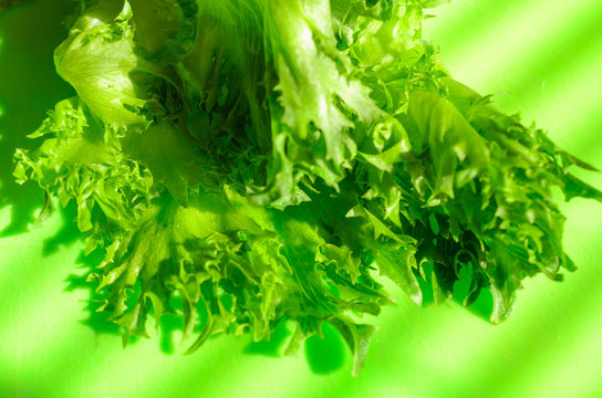 fresh green lettuce leaves. The concept of a healthy diet and the fight against obesity.