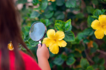 A portrait of kid girl holding magnifying glass and looking at flower. Childhood and education concept