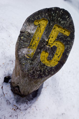 Palo sentiero su neve con numero 15, percorso per camminata nel bosco