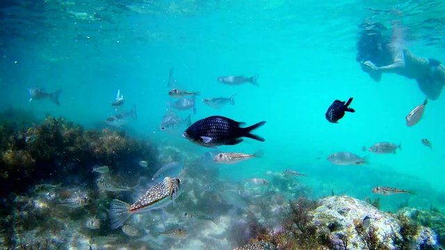 Photographer using camera in waterproof box to make photos and video underwater