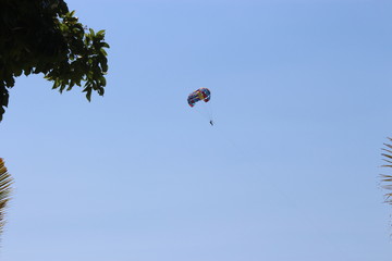 Man in a parachute at a beach in Langkawi, Malaysia