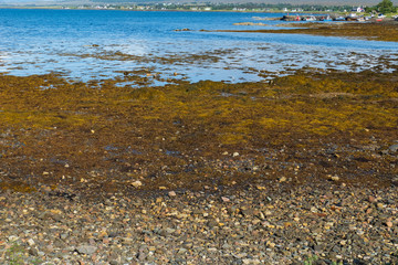Blick auf die Küste von Broadford, Isle of Skye
