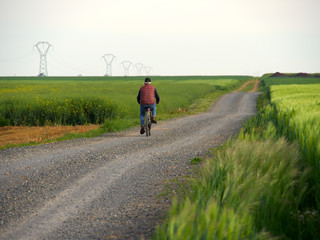 Obraz premium A man riding a bicycle alone on a dirt road on the side, lots of greenery