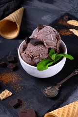 Chocolate ice cream with chocolate pieces with frost and mint on ceramic bowl