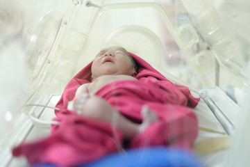newborn baby girl inside incubator