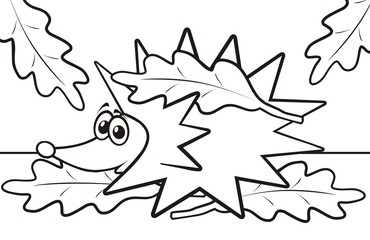 hedgehog, coloring book, vector illustration