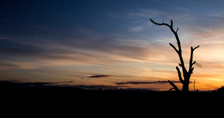 Fototapeta na wymiar beautiful sunset with the orange sky and an old lonely and dead tree in the middle of the mountain in the foreground. Sunset in Galicia