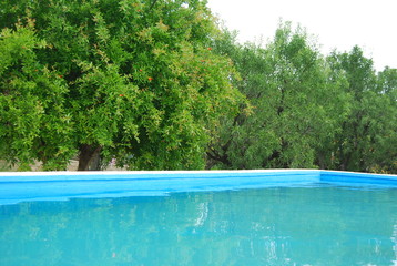 Fototapeta na wymiar Swimming Pool in Garden Landscape