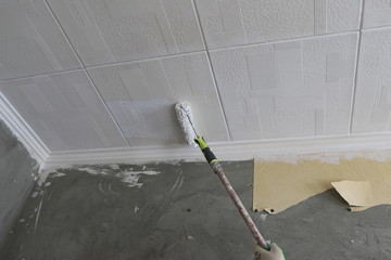 paint the ceiling with a roller in white, repair the apartment with your own hands