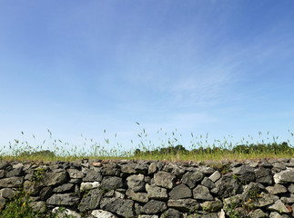 vista idilliaca della tranquilla campagna romana vicino la via appia