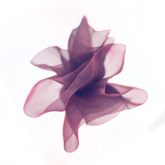 pink nylon rose flower