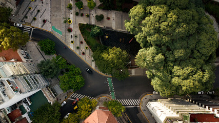Aerial top-down view on the square with green areas, trees, playgrounds and apartments around it....