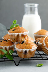 Bleberry banana muffins with fresh berries