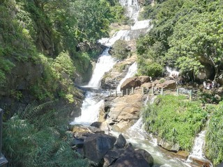 Fototapeta na wymiar waterfall beauty