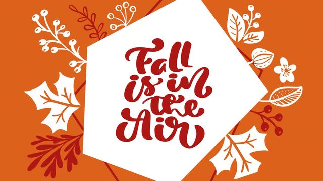 Calligraphy lettering animation text Fall is in the Air. Background greeting card illustration with yellow leaves and pumpkin. Full HD Video footage
