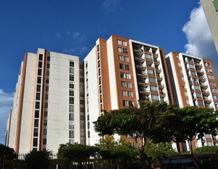 Panorámicas tres torres de edificios residenciales, rodeados de árboles, en una mañana de cielo despejado.