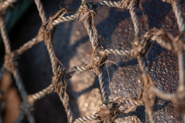 Fischerreiausrüstung in der Nahaufnahme