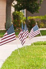 Front view, close distance of four American flags in a front lawn of a tropical residence on the 4th of July, on a sunny day
