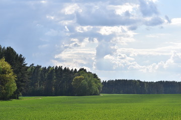 Chmurki © Joanna