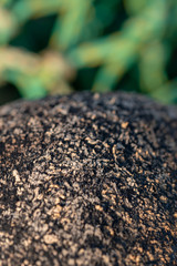 Fischerreiausrüstung in der Nahaufnahme