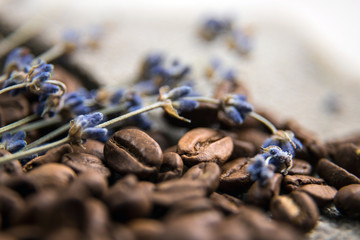 Coffee beans close-up. Beautiful coffee background. Artistic blur. Still life of coffee beans decorated with dried lavender. The picture is in pastel tones.