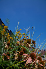 High Line Park