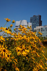 High Line Park