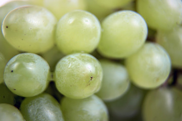Bunches of grapes close-up. Green grape. Ripe, juicy, natural grapes.