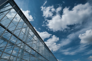 The cloud reflected in the window glass of the building, space for text
