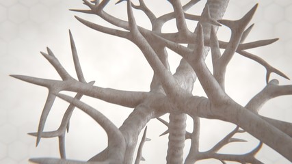 3d illustration of human lung structure.pneumonia.tuberculosis