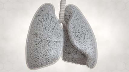 3d illustration of human lung structure.pneumonia.tuberculosis