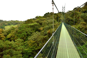 view of the suspension bridge
