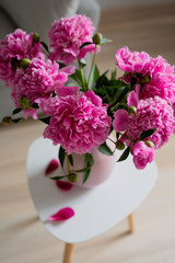 Blooming Pink peony flower with green leaves in pink vase on the white table, in the room, grey background, lifestyle image, copy space