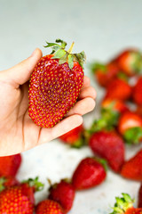 Child hand holding freshly picked strawberries on the table. Natural organic food production. Heap of summer red berries. Homegrown, gardening and agriculture consept. Healthy eating. Soft focus