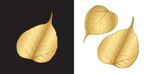 Obraz premium Gold Sacred fig leaf or Bo leaf isolated on dark and white background. The glowing gold leaf gives a wonderful feeling of kindness, open-mindedness, and the magical charm of faith.