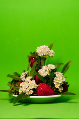 Obraz na płótnie Canvas strawberries and small white flowers in a composition with green background