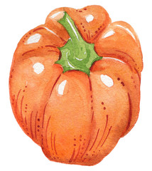 Watercolor vegetables. Eggplant, tomato, pepper, avocado, carrot. Eco food, Healthy food. Vegan dishes. Hand painted illustration. Isolated. Printable. Best for kitchen decor, cafe design, menu.