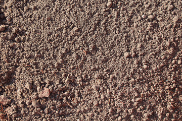 Dry soil in the garden. Top view. Close-up. Background. Texture.