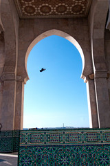 Moroccan archway with bird