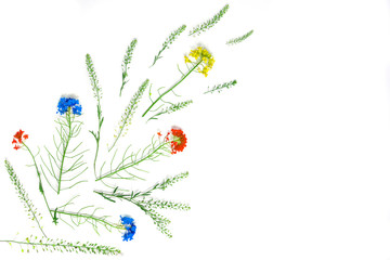 Flowers composition.Blue, yellow and red wildflowers.Flat lay, copy space