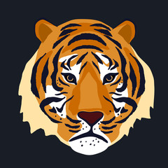 Tiger. Animal print. Vector illustration