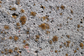 stone wall texture