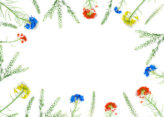 Fototapeta premium Flowers composition.Blue, yellow and red wildflowers on a white background.