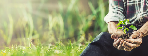 Banner view of a man sitting on a grass before putting a seedling into the ground