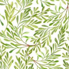 Watercolor tea tree leaves seamless pattern. Hand drawn illustration of Melaleuca. Green medicinal plant isolated on white background. Herbs for cosmetics, package, textile, cards, decoration.