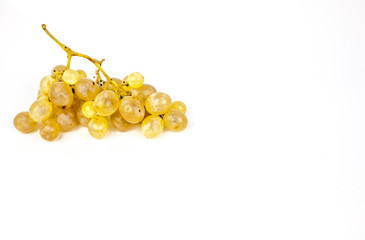 grapes on white background