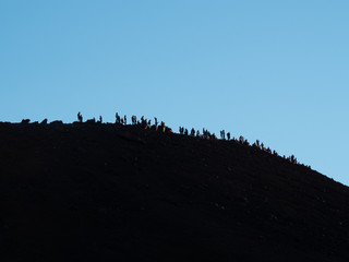 Silhouettes of people waiting for sunset at the top of Haleakala Volcano, a popular destination in...