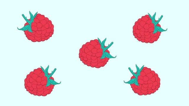 Fresh pink red dancing raspberry background. Funny clip. Hand drawn animation.