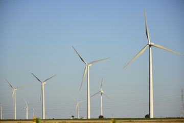 windmills in the fields of castilla