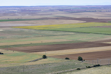 view of the fields from the top of the town